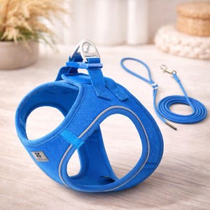 Puede incluir: Un conjunto de arnés y correa azul para perros. El arnés está hecho de un material de malla transpirable con ribetes reflectantes. La correa es de color azul a juego y tiene un cierre metálico. El conjunto está diseñado para perros pequeños y medianos.