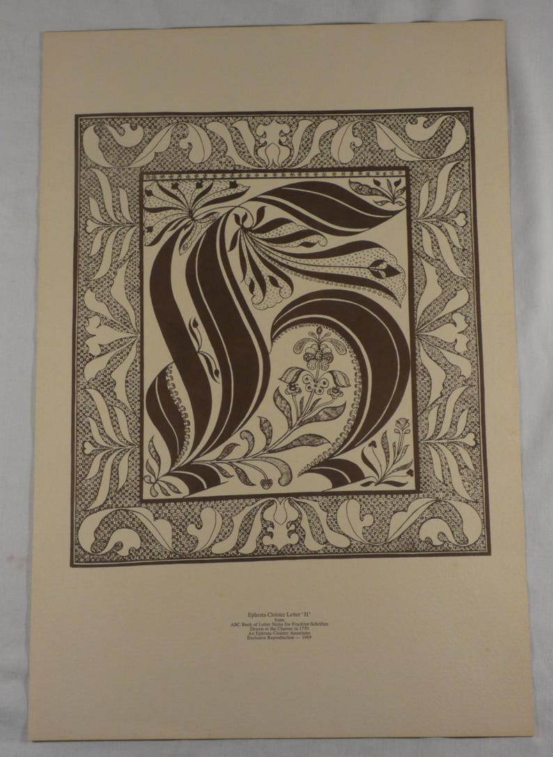 May include: A framed print featuring a stylized letter "S" in a brown, floral design. The letter is surrounded by an ornate border with a repeating pattern. The background is a light beige color. The print is a vintage piece.