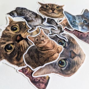 Custom Pet Sticker | Personalized Dog or Cat Face Sticker | Waterproof Vinyl Sticker | Cute Pet Gift | Pet Portrait Decal | Pet Lover Gift