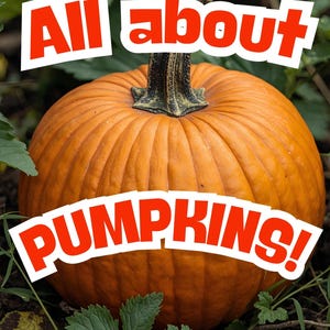 May include: A large, round orange pumpkin with a textured surface, set against a backdrop of green foliage and brown earth. The text "All about PUMPKINS!" is displayed in bold, red letters.