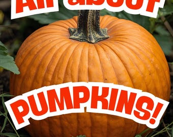 Pumpkin Activities Printable | Fall Worksheets for Preschool & Kindergarten