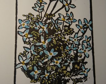 Bluets, hand-colored