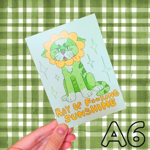 Grumpy Cat Postcard – Ray of Fking Sunshine A6 Postcard  | Funny Digital Cat Drawing | Sarcastic Gift for Cat Lovers