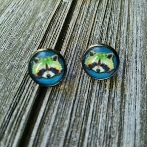 SCHELMS WASBEREN: 12 mm geometrische wasbeer glas cabochon post stud oorbellen in metalen instellingen.