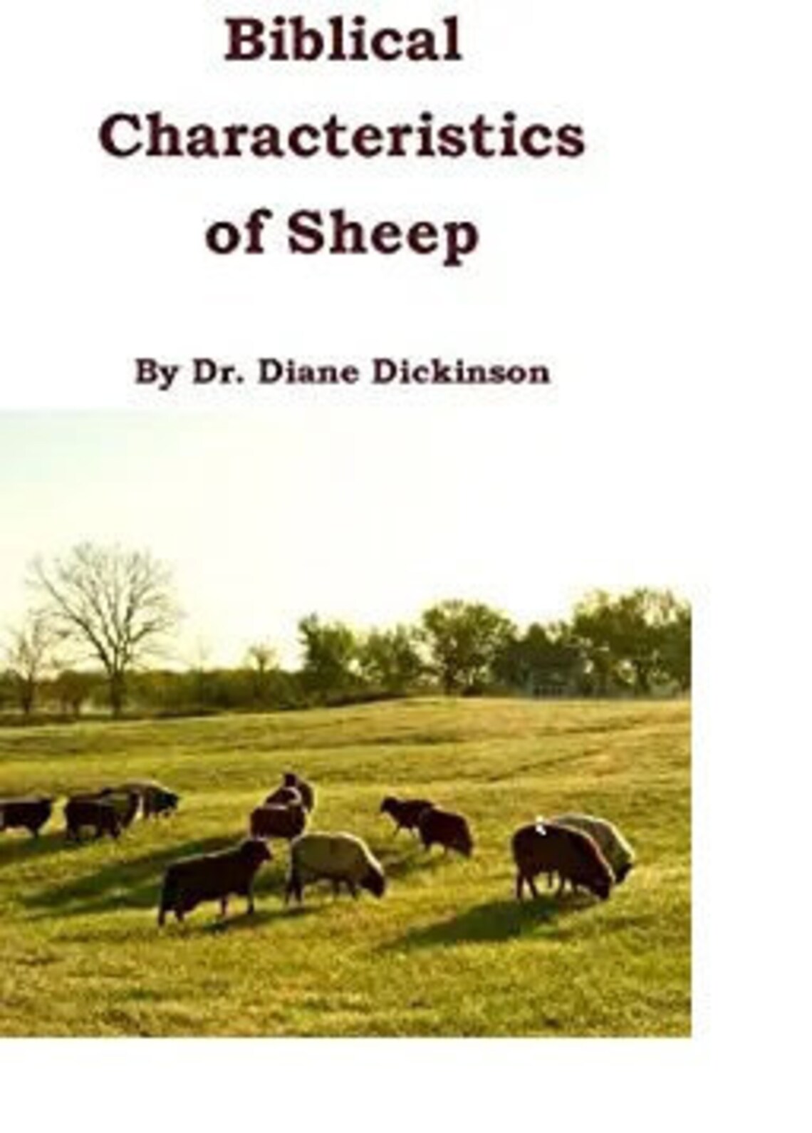 Book Biblical Characteristics of Sheep Etsy