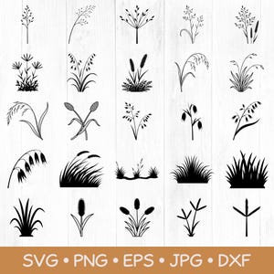 Op de afbeelding: Een verzameling van vijfentwintig zwarte silhouetillustraties van diverse grassen, tarwestengels en wilde planten gerangschikt in een raster. De onderste banner toont de tekst SVG, PNG, EPS, JPG en DXF in het wit op een bruine achtergrond.