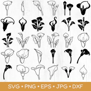 Può includere: Una collezione di trenta illustrazioni di calle in bianco e nero disposte in una griglia. I disegni mostrano vari fiori e foglie di calla sia in silhouette nere piene che in stile line art, presentati su uno sfondo bianco.