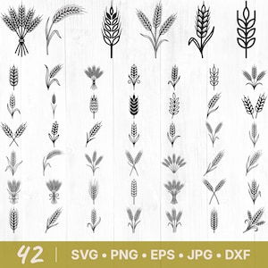 May include: A selection of 42 black and white illustrations of wheat and grain designs. The image includes the text "42 | SVG • PNG • EPS • JPG • DXF" at the bottom, indicating file formats.