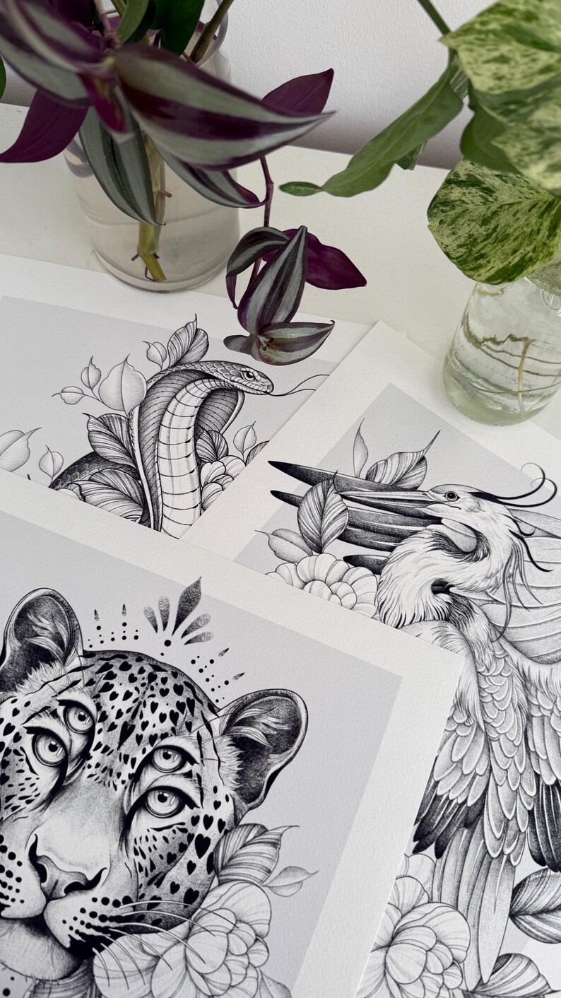 May include: Black and white art prints featuring detailed illustrations of a cobra, a leopard with multiple eyes, and a bird. The prints are displayed on a white surface, with plants in glass vases in the background. The art style is detailed and realistic.