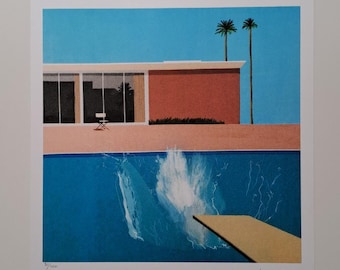 Hockney Splash Lithograph David Hockney Signed A Bigger Splash Certificate Shakespeare Arts