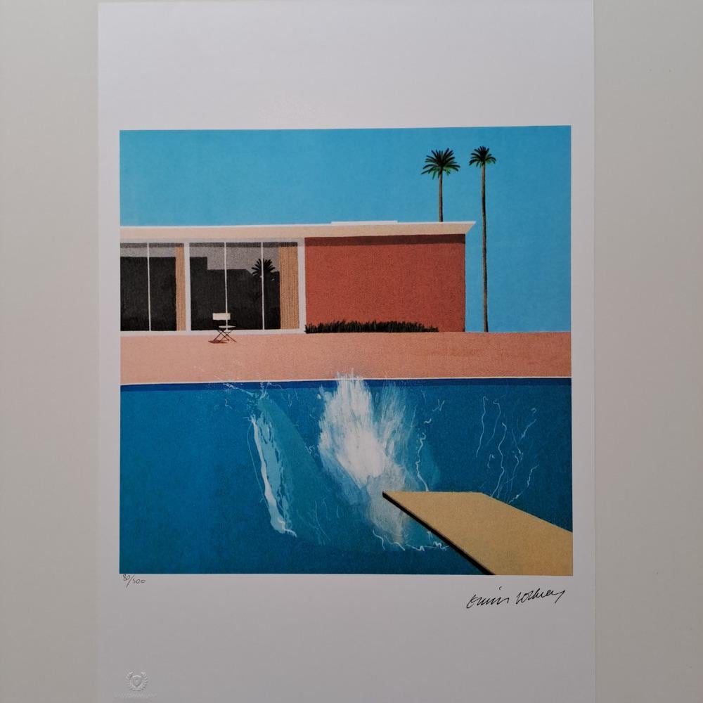 David Hockney a Bigger Splash - Etsy