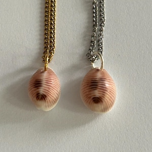Shell necklace, necklace, shell pendant, necklace with pendant, cowrie shell, vacation, natural shell, beach, gold chain, silver chain, gift