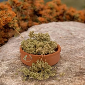ORGANIC THYME ,from the natural hygienic forest to your home.