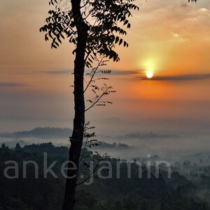Pode incluir: Fotografia de paisagem de um nascer do sol sobre um vale nebuloso. Uma árvore silhueta está em primeiro plano, com o sol rompendo as nuvens. O céu muda de laranja para amarelo, com o texto "ankejamin" no canto inferior esquerdo.