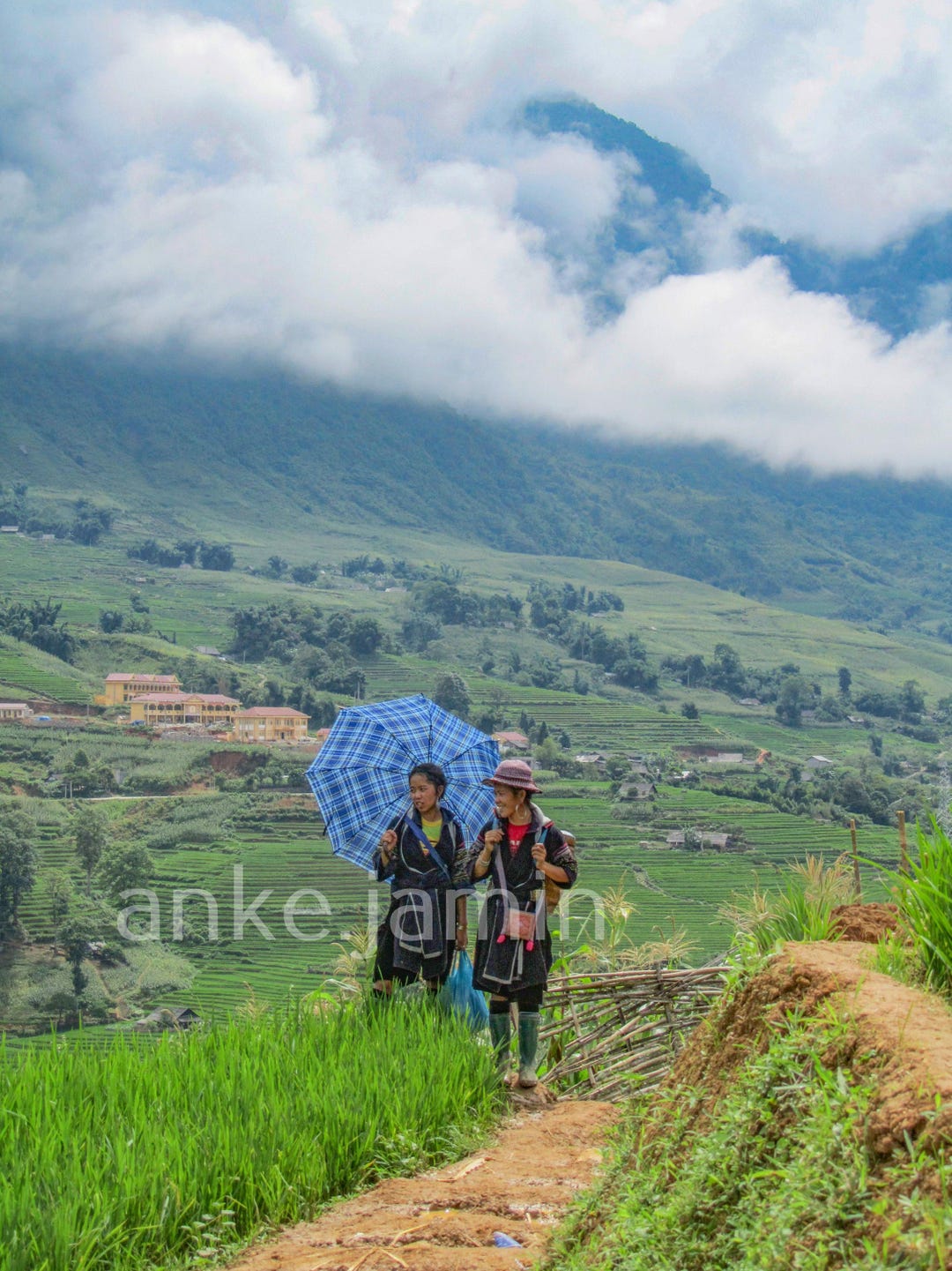 Indigo Rice Indigo Hmong Women in Sapa Rice Fields (digital Download) - Etsy
