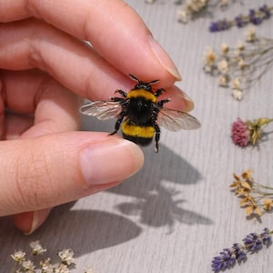 Real Bumblebee Specimen Magnet | Preserved Queen or Drone Bee | Natural Insect Art Decor, Handmade Entomology Gift