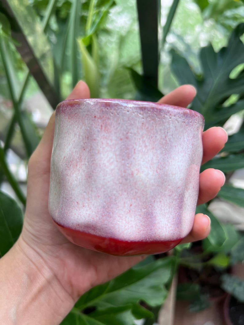 May include: A small, cylindrical ceramic cup featuring a glossy finish with a gradient of deep red at the base transitioning into a textured, speckled white and soft pink glaze across the upper body, showcasing a slightly irregular, wavy rim.