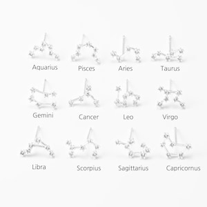 Peut inclure: Une collection de boucles d'oreilles en argent, chacune représentant une constellation du zodiaque différente. Les noms des signes du zodiaque, tels que "Verseau" et "Poissons", sont imprimés en dessous.