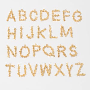 2 peças - A~Z (selecione 26 letras) Alfabeto inicial cúbica, pingente de letra CZ, pingente de letra de flor, banhado a ouro 14K genuíno [P1307-PG]