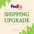 Shippiong Upgrade(FEDEX) Unavailable For Russia and PO BOX product logo
