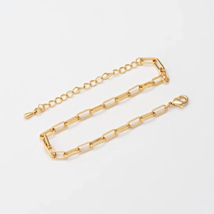 Könnte beinhalten: Eine goldene Kettenkette mit einem Karabinerverschluss. Die Kette besteht aus rechteckigen Gliedern.