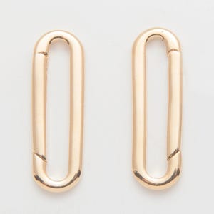 Può includere: Due chiusure dorate di forma ovale allungata. Ogni chiusura ha una parte superiore e inferiore arrotondata, con una piccola apertura su un lato. Le chiusure sono poste su uno sfondo bianco.