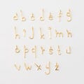 2PCS -  Lowercase Alphabet Letter Charms, A to Z Initial Pendant for Personalized Jewelr, Real 14K Gold Plated [P0544-PG] product logo