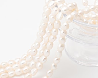 May include: Multiple strands of creamy white, irregularly shaped pearls spill from a clear glass container. The pearls have a soft lustre and vary in size. The background is a clean, bright white, accentuating the natural beauty of the pearls.