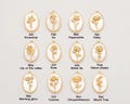 1PC - Mother's Day jewelry Charm Mother of pearl flower necklace, Birth Floral Necklace, Flower Pearl Charm, Real 14K Gold Plated[P1310-PG] product logo