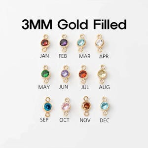 Pode incluir: Pingentes de pedra de nascimento de 3 mm com enchimento de ouro. Cada pingente apresenta uma pedra preciosa de cor diferente, com o mês do ano rotulado abaixo. Os meses incluem janeiro, fevereiro, março, abril, maio, junho, julho, agosto, setembro, outubro, novembro e dezembro.