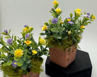 Dolls House Miniatures - square Planter x1