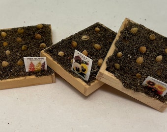 Dolls House Miniatures - Garden Bulb Tray x1