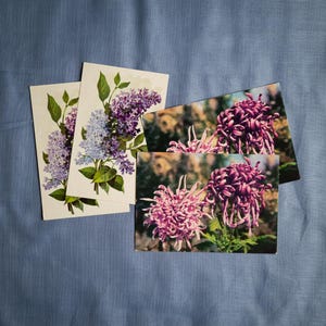 Paquete de postales vintage raras con motivos florales botánicos en blanco para felicitaciones, cumpleaños y aniversario.