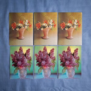 Paquete de postales vintage raras con motivos florales botánicos en blanco para felicitaciones, cumpleaños y aniversario.
