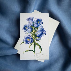 Cartolina d'auguri vintage retrò, rara, floreale, botanica, vuota, congratulazioni, compleanno, anniversario
