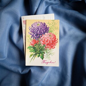 Retro vintage raro floreale botanico sovietico auguri congratulazioni compleanno cartolina vuota