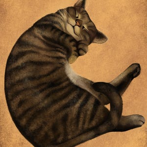Cartão postal do gato Bogles 5x7"