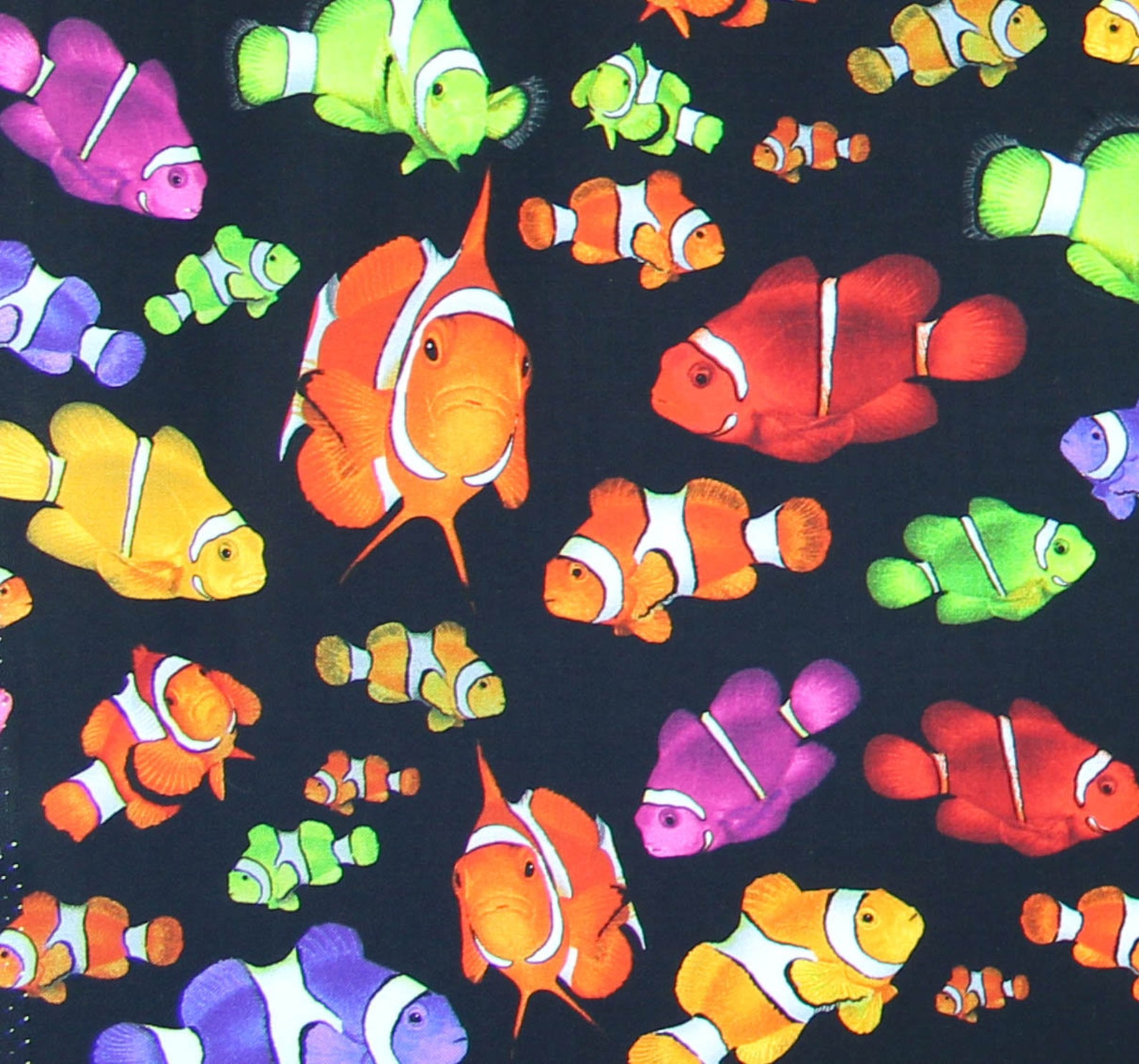 Clown Fish Fabric/Nemo Fabric/Hot Diggity/Craft Supplies & Etsy