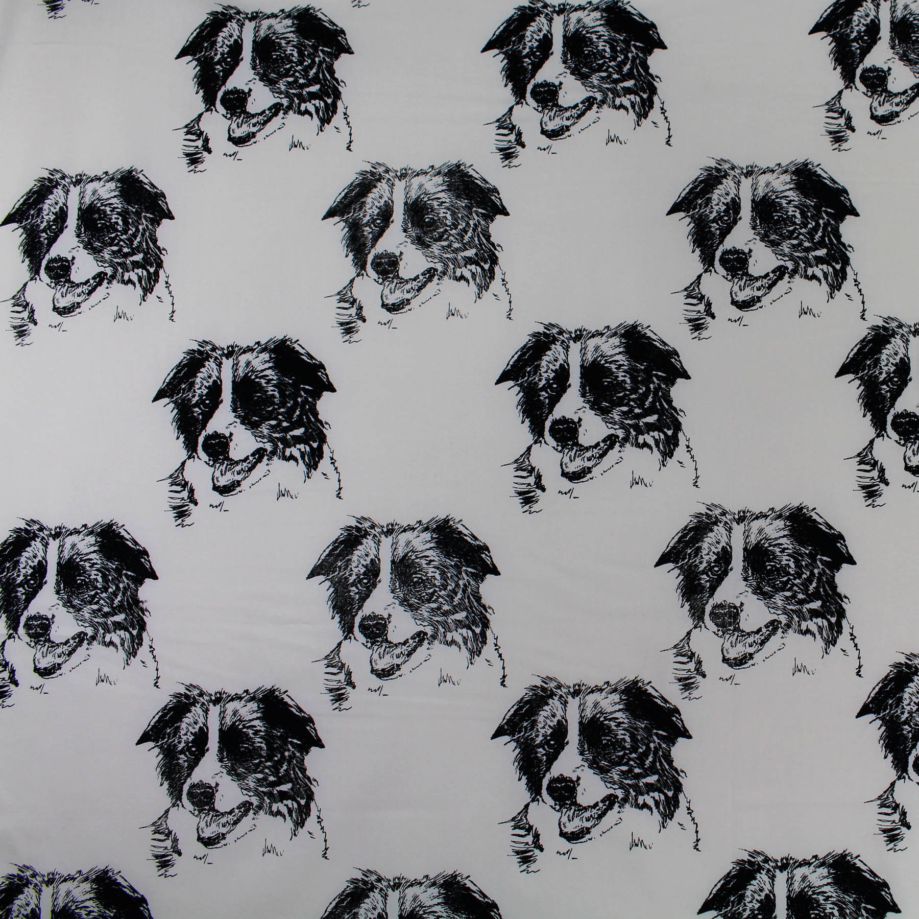 border collie supplies