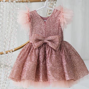 Blush Sparkling Girl Dress with Feather Sleeves Big Bow Dress, Flower Girl Dress, First Birthday Outfit, Blush Pink Party Gown Sparkle Dress