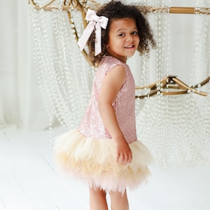 Blush Sequin Toddler Dress, Baby Girl Birthday Dress with Tulle Skirt, Sparkly Party Outfit, Formal Dress for Girls, Special Occasion Gown