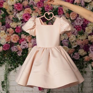 Blush Flower Girl Dress with Pearls on Sleeves, Satin Flower Girl Dress, Elegant girl Dress, Toddler Party girl dress, Fancy Birthday dress