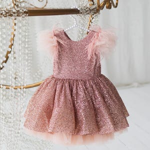 Blush Glitter Girl Dress with Feather Sleeves, Big Bow Dress, Flower Girl Dress, First Birthday Outfit, Pink Party Gown, Sparkle girl Dress