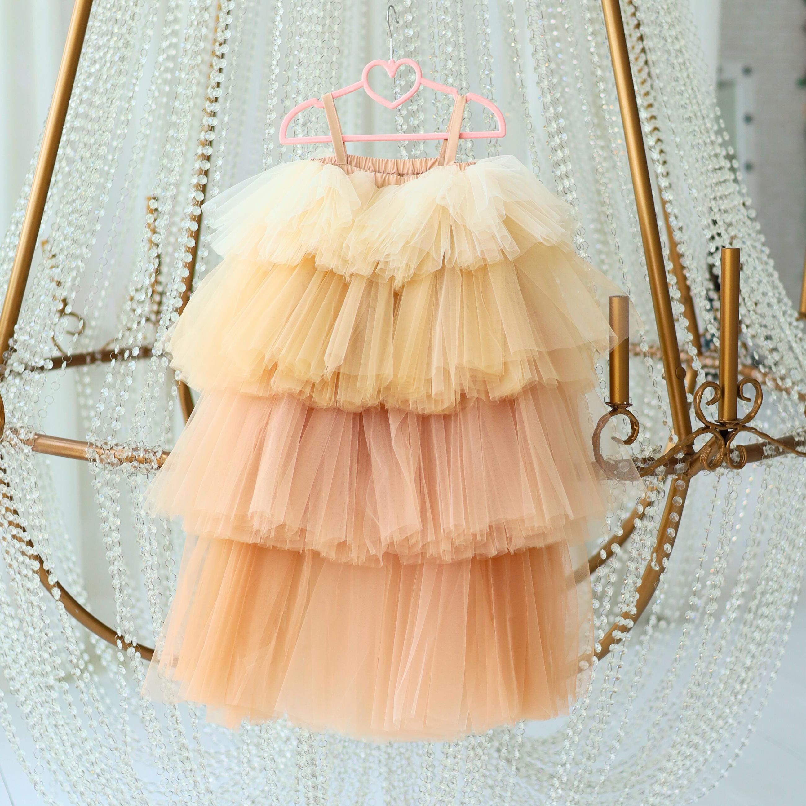 Beige Tulle Girl Dress, Puffy Toddler Tutu Dress, Beige Birthday Baby Dress, Fancy Photoshoot Dress, Graduation Outfit for Girls