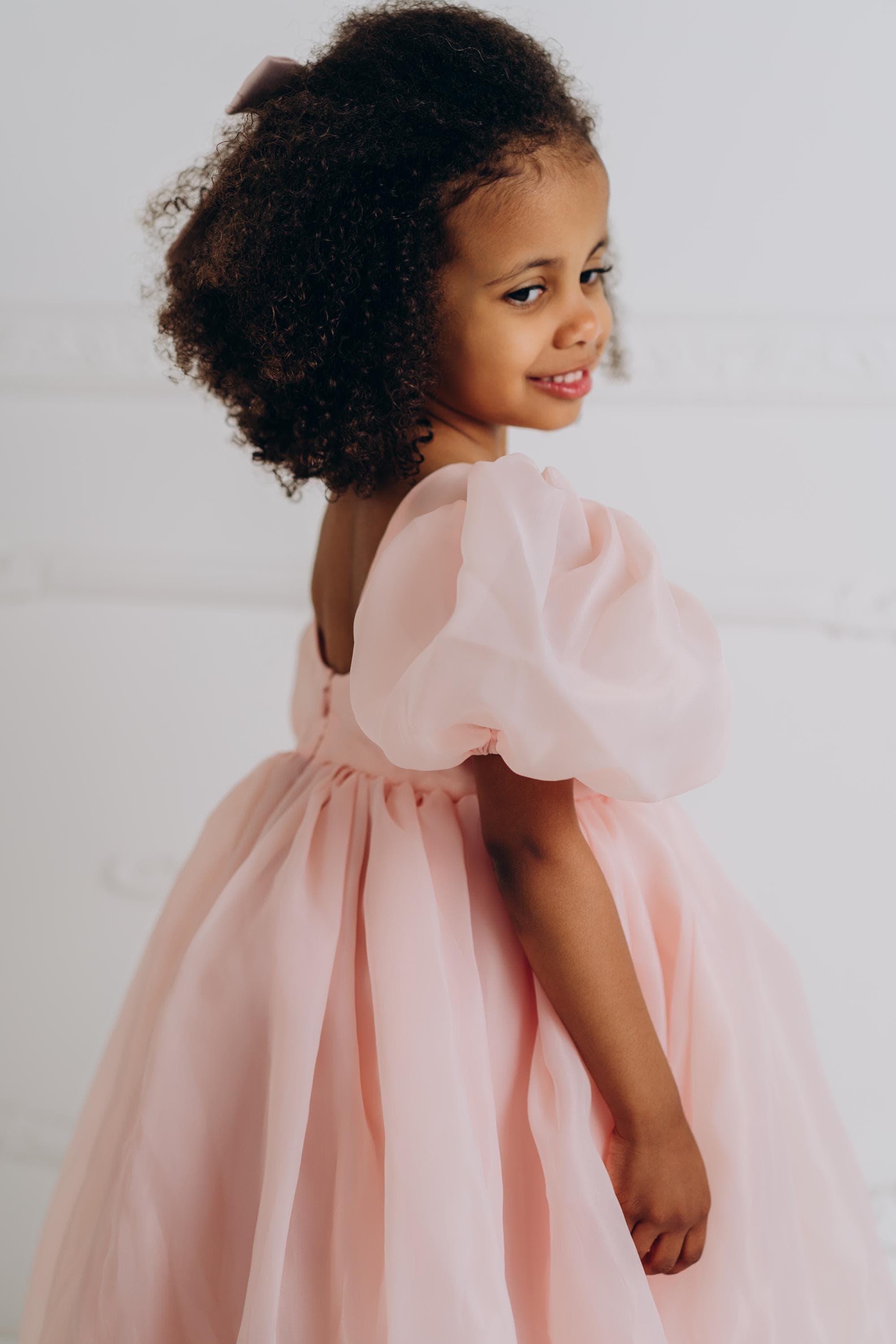organza dress for kids girl Blush Pink Organza Dress for Girls, Elegant Toddler Birthday Outfit, Puffy Sleeve Princess Dress, Open Back Party Gown, Flower Girl Dress