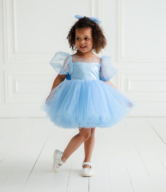 Blue Tulle Dress with pearls, Blue Beaded Formal Toddler Gown, 1st Birthday outfit, Elegant girl gown, Flower Girl Ceremony Look