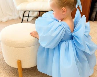 Blue Organza Flower Girl Dress with Puffy Sleeves, Elegant Toddler Wedding and Communion Party Outfit