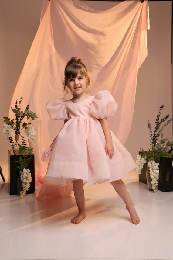 Blush Pink Organza Dress for Girls, Elegant Toddler Birthday Outfit, Puffy Sleeve Princess Dress, Open Back Party Gown, Flower Girl Dress