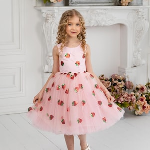 strawberry shortcake party dress Amazon.com: Strawberry Shortcake Toddler Girls Tulle Dress Pink 2T: Clothing,  Shoes & Jewelry