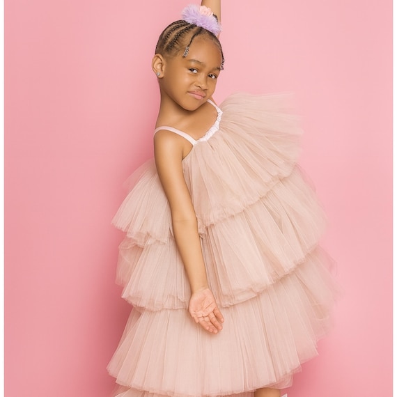 blush pink tutu dress Zahra Pink Tutu Dress